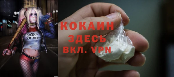 гашик Белоозёрский