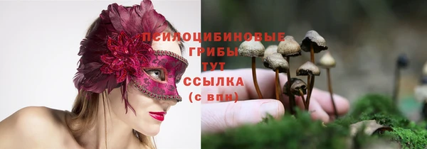 гашик Белоозёрский