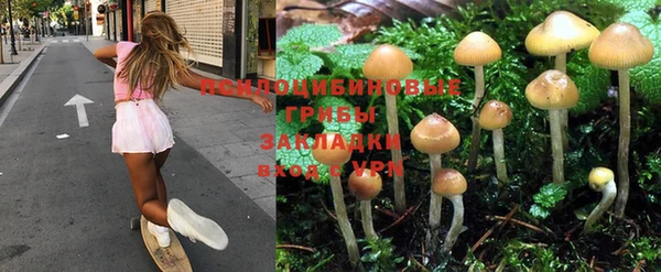 MDMA Premium VHQ Белокуриха