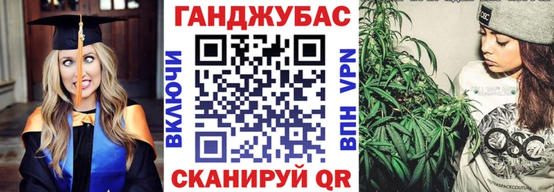 Конопля AK-47 Магас